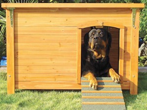 Tiger Woods in the dog house tiger woods 300x225 What Kind of Home Do The Champs Live In?