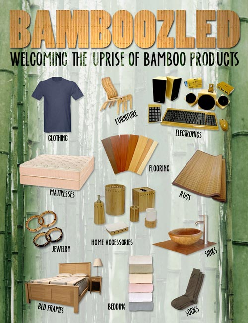 Bamboozled The Uprise of Bamboo Products