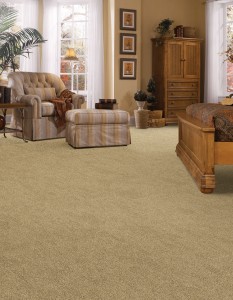 Sierra Stone Stainmaster Carpet Barrett Mills 233x300 BuildDirect Stainmaster Carpeting Launch