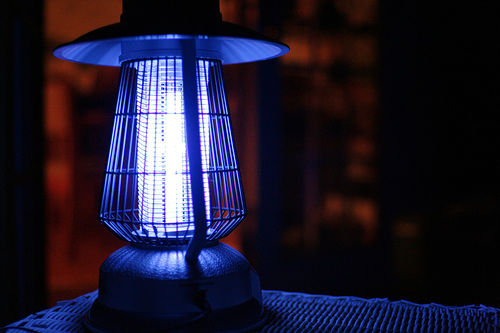 Buglight Buglight