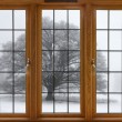Window to Winter Window to Winter