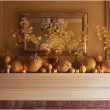 Autumn inspired decor