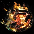 Fire pit Fire pit
