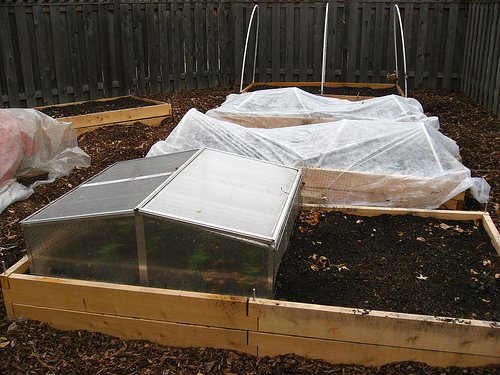 Winter gardening cold frame Winter Gardening: Best Practice Food Growing In Winter 