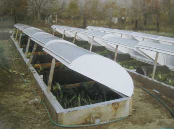 winter gardening solar pods Winter Gardening: Best Practice Food Growing In Winter 