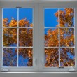 autumn window closed autumn window closed