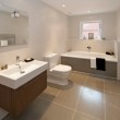 Stone flooring in bathroom Stone flooring in bathroom
