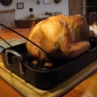 Thanksgiving turkey Thanksgiving turkey