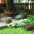 Container Garden Container Garden