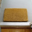 Hallway and outdoor welcome mat Hallway and outdoor welcome mat