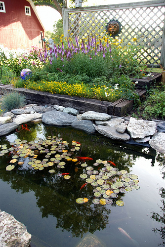 - Backyard-pond