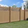 Fence in the backyard