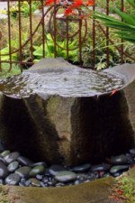 bird bath bird bath