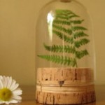 natural decor