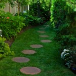 Shady garden with footpath