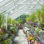 Greenhouse