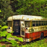 Broken Bus in Forest thumb