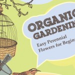 organic gardening overview thumb