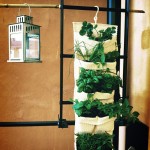 Hanging herb garden