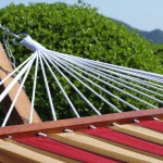 hammock