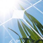 solar panel wheat thumb