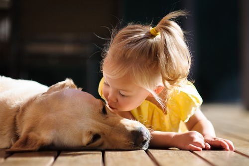 A portrait of a little cute toddler girl kissing her dog