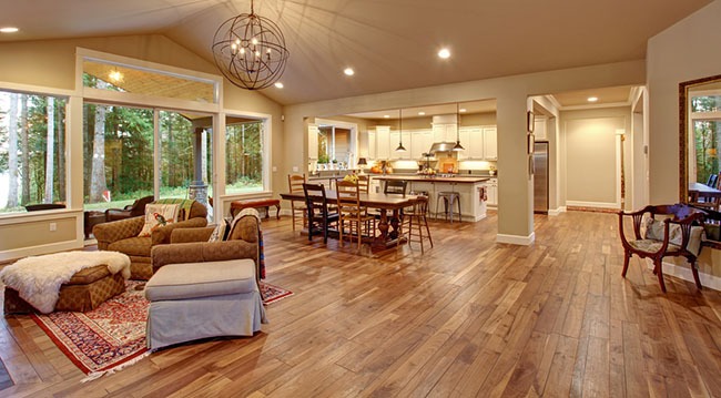 living room interior with wooden flooring