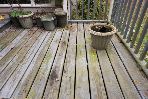 Patio/Deck Repairs