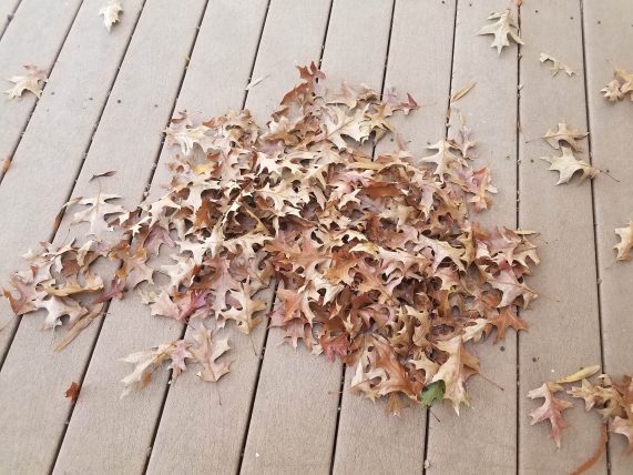 composite decking in winter