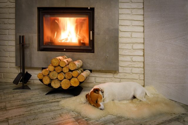 hygge flooring dog