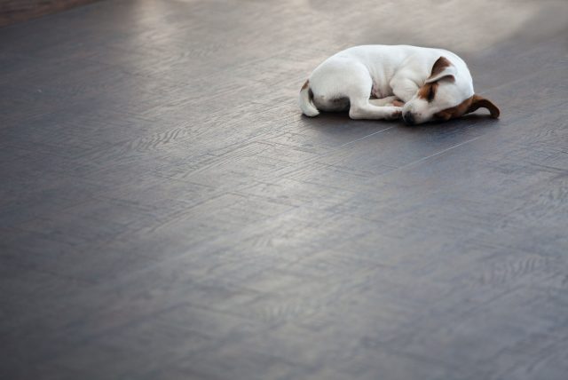 Energy Efficient Flooring