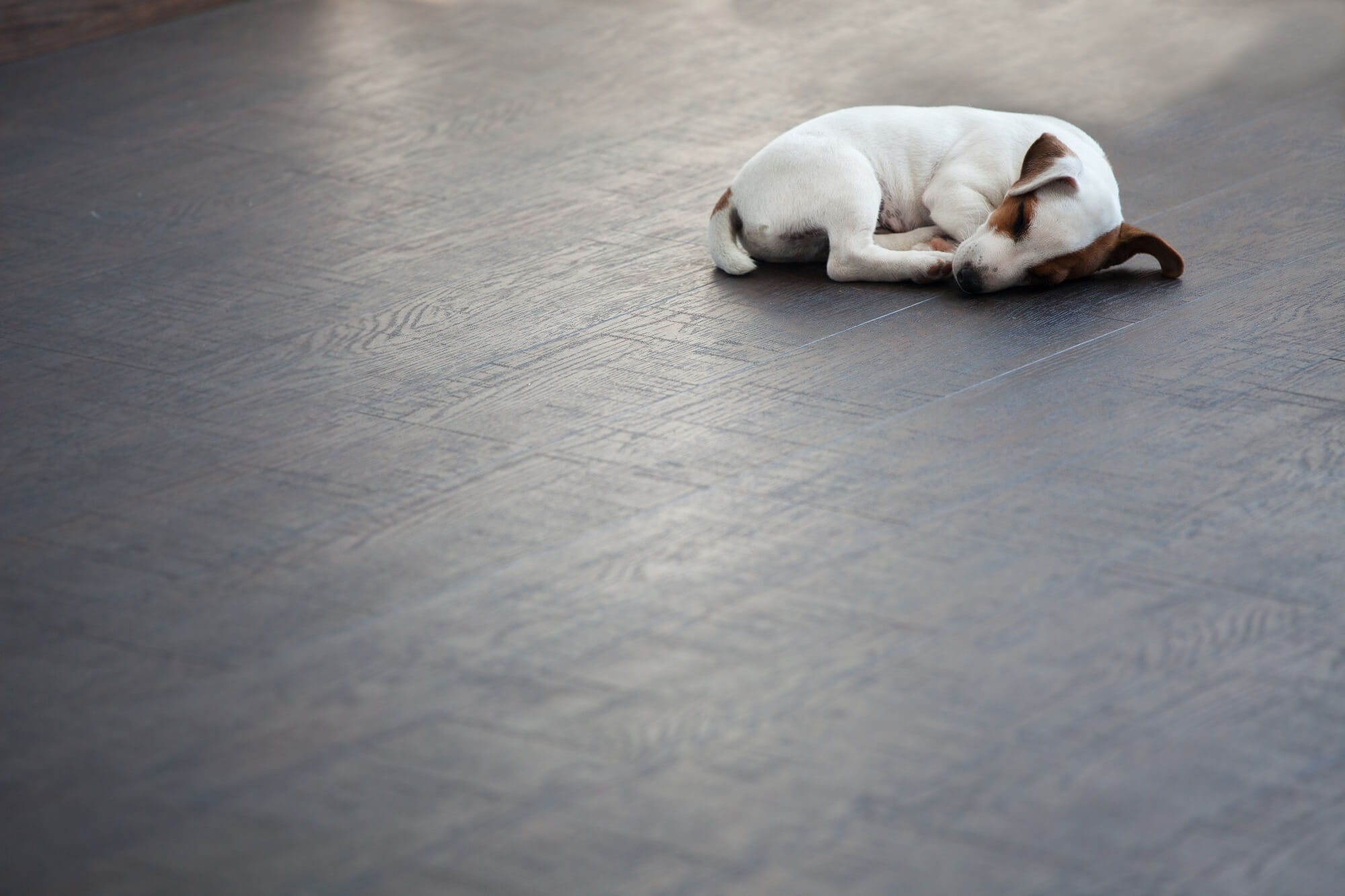 Efficient Flooring Support: Streamlining Your Flooring Experience
