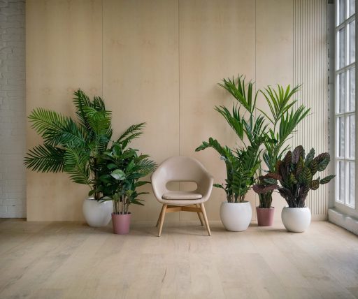 match house plants to flooring vinyl